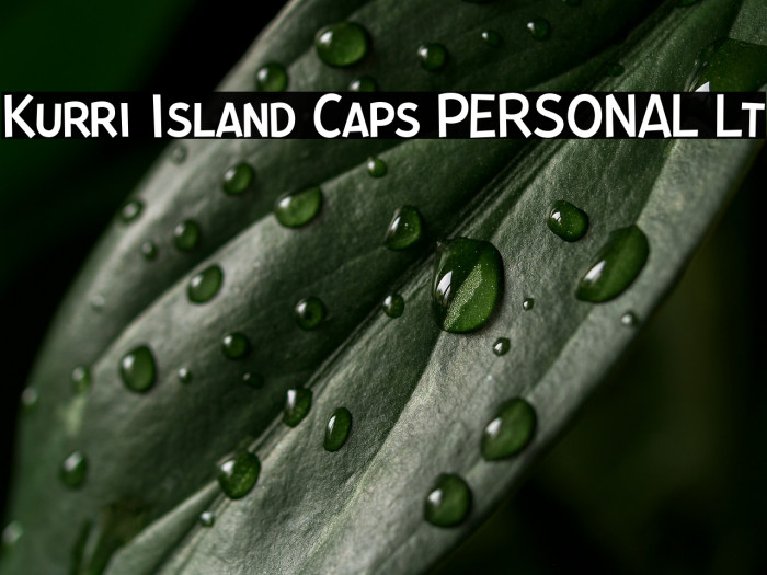Kurri Island Caps PERSONAL Lt Example 1