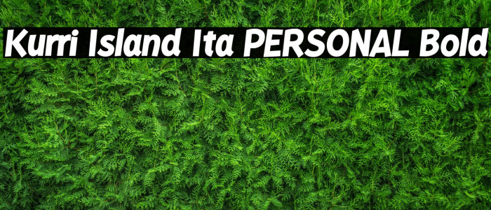 Kurri Island Ita PERSONAL Bold Example 1