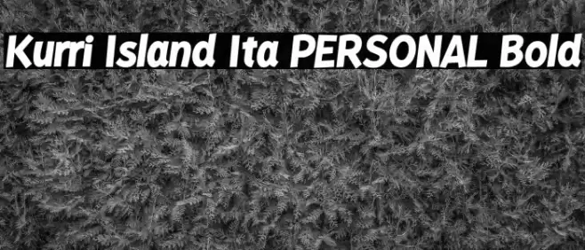 Kurri Island Ita PERSONAL Bold Font examples