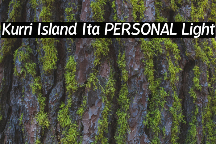 Kurri Island Ita PERSONAL Light Font examples