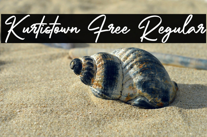 Kurtistown Free Regular Example 1