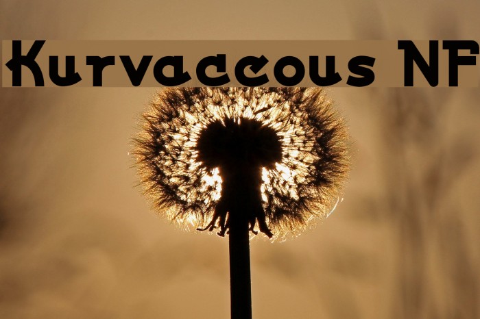 Kurvaceous NF Font examples
