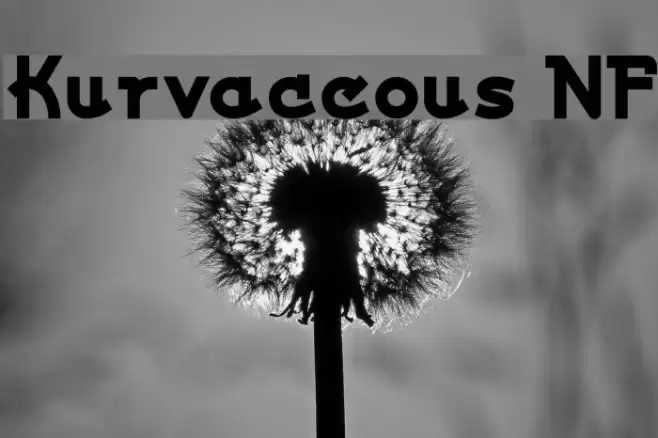 Kurvaceous NF Polices examples