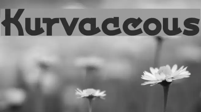 Kurvaceous Caratteri examples