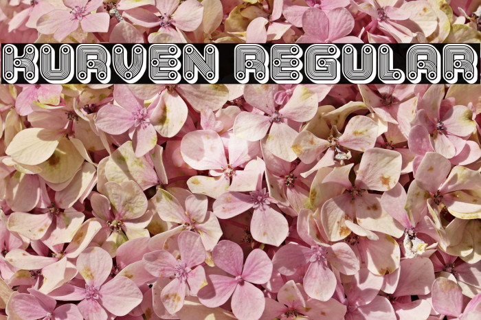 Kurven Regular Example 1