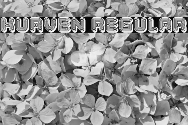 Kurven Regular Font examples