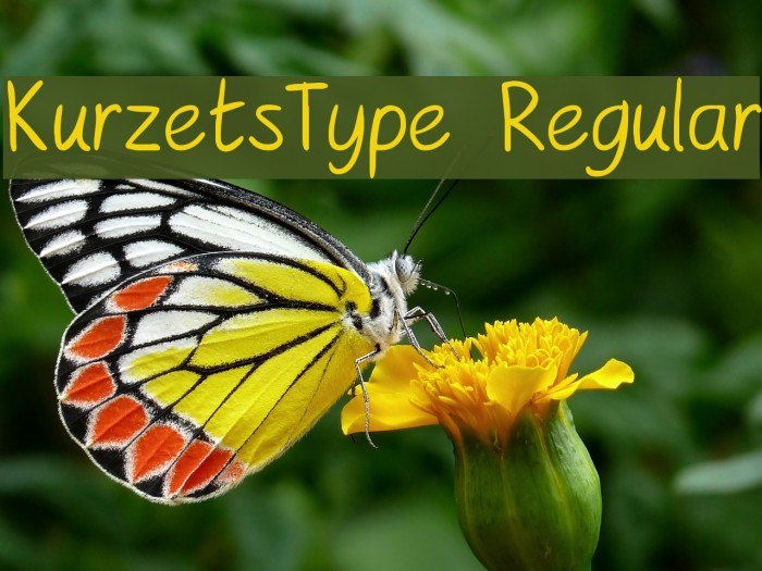 KurzetsType Regular Font examples