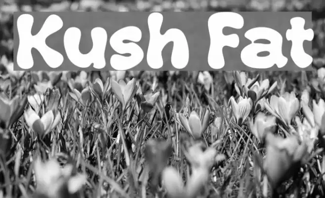 Kush Fat Font examples