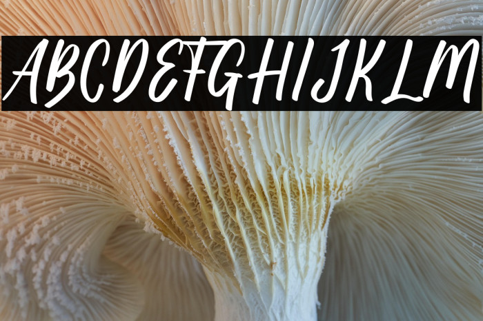 Kuta Beach Example 1