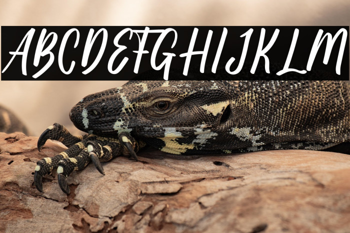 Kuta Beach Example 3