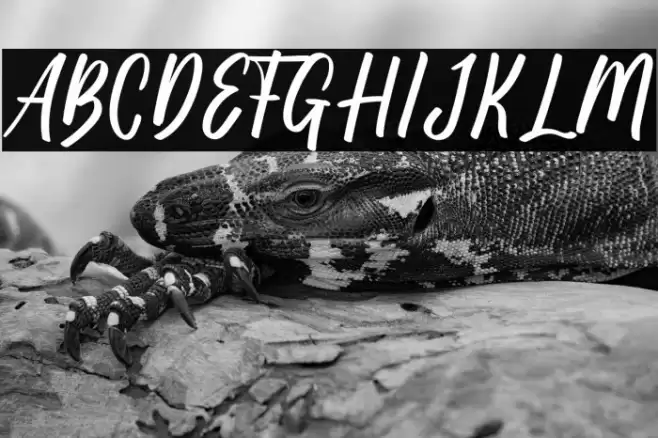 Kuta Beach Font examples