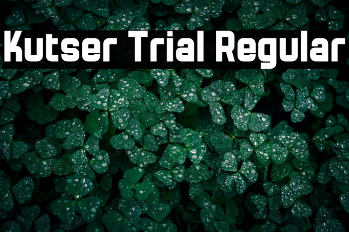 Kutser Trial Regular Example 2