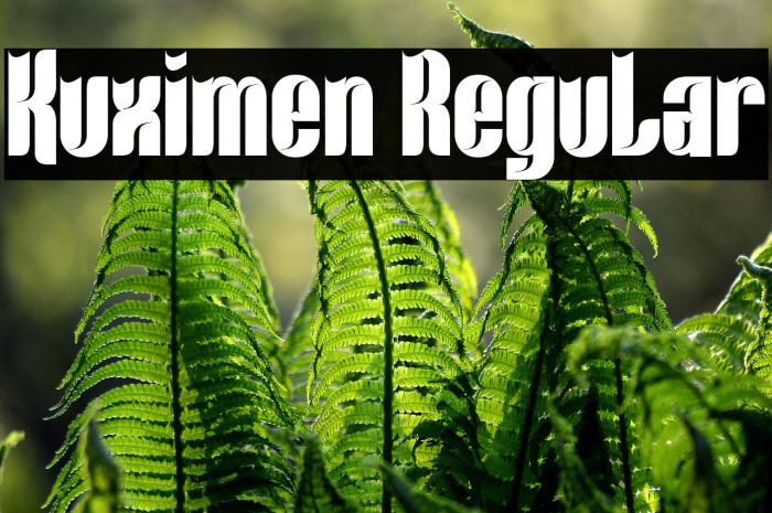Kuximen Regular Example 1