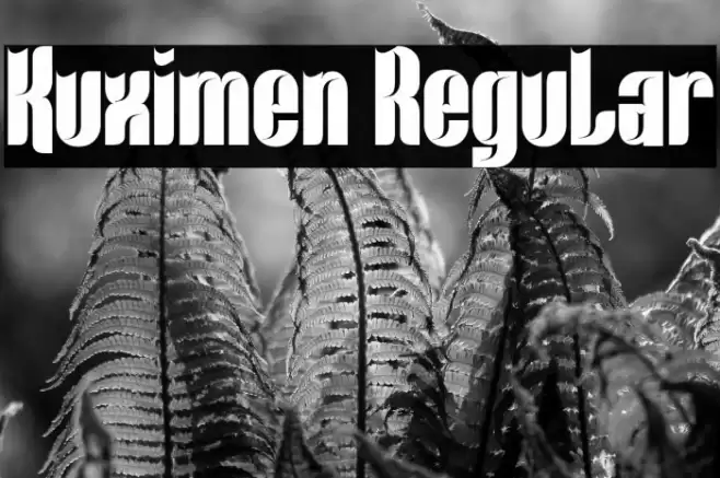 Kuximen Regular 字体 examples