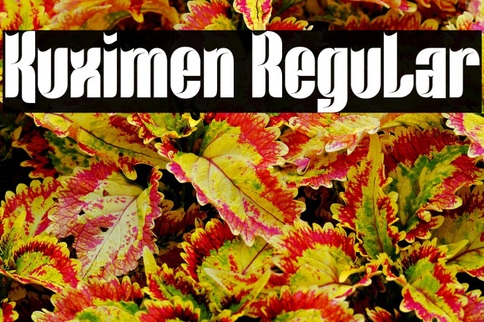 Kuximen Regular Example 2