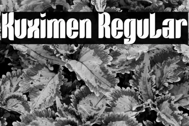 Kuximen Regular 字体 examples