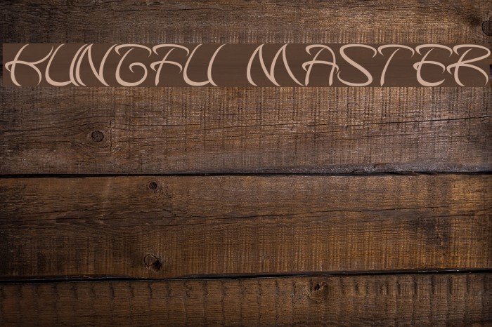 kungfu master Font examples