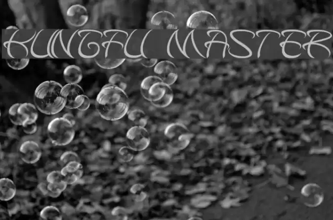 kungfu master Font examples