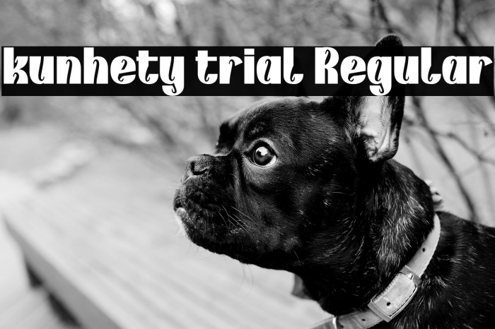 kunhety trial Regular Example 1