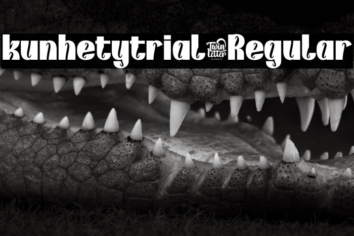 kunhetytrial-Regular Example 1