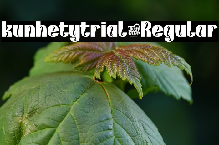 kunhetytrial-Regular Example 2