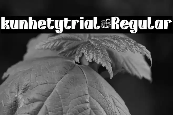 kunhetytrial-Regular Font examples