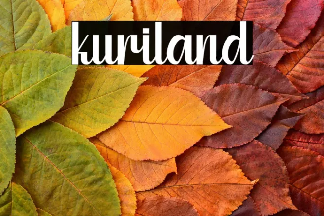 kuriland Example 3