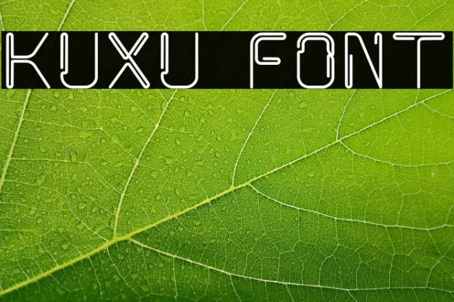 kuxu Example 1