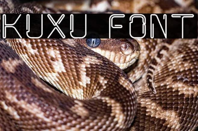kuxu Example 3