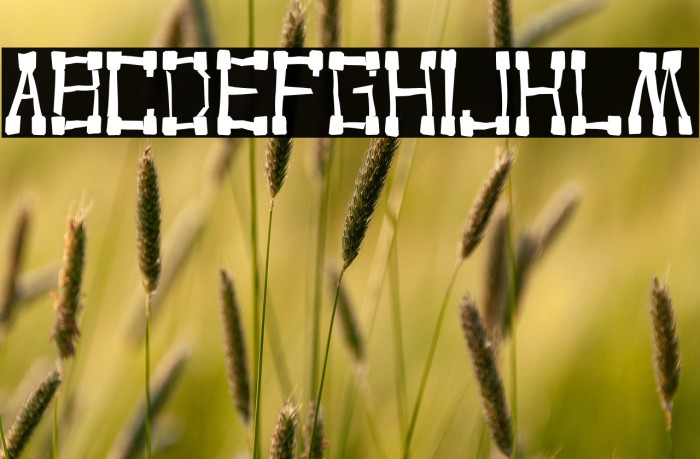 KVADRO-RANDOM Example 2