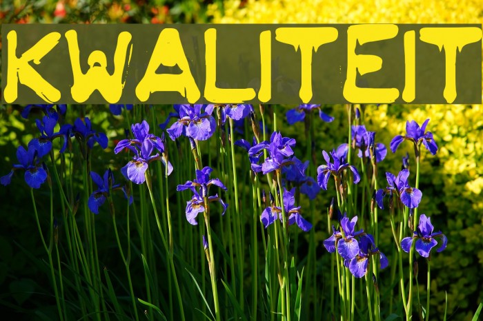 KWALITEIT Example 1