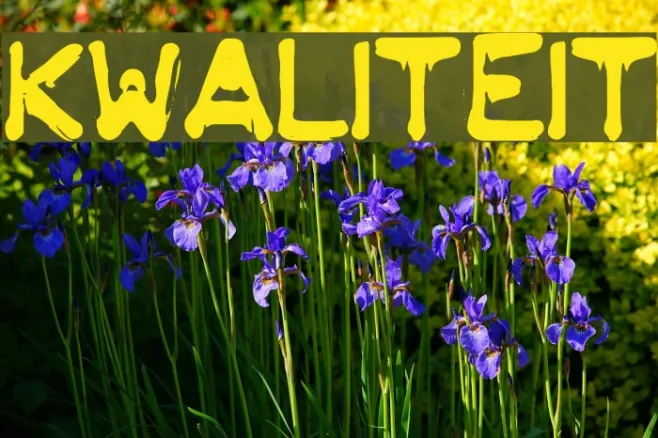 KWALITEIT Example 1
