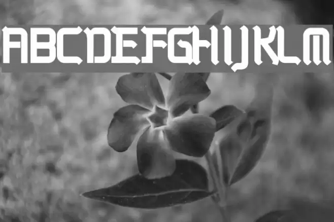 Kwadryga Font examples