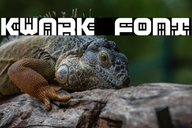 Kwark Example 1