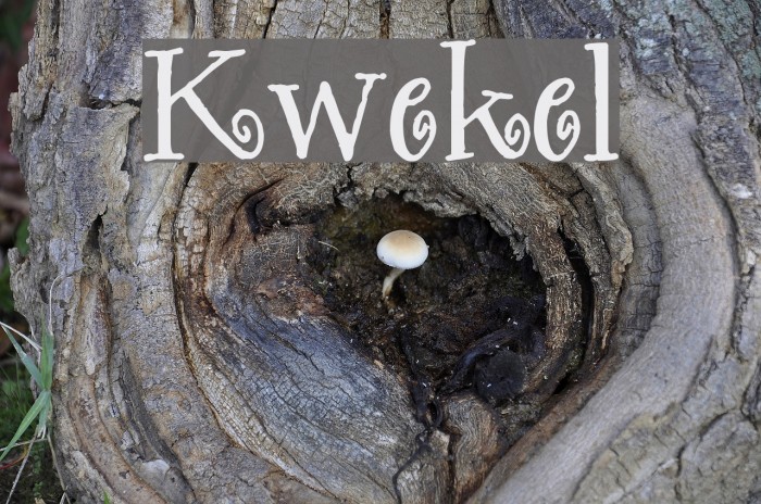 Kwekel Fonte examples