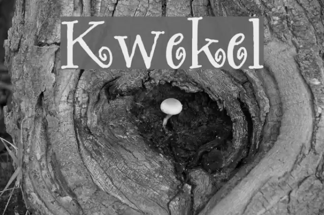 Kwekel Font examples