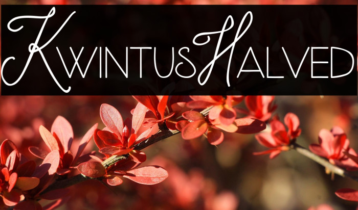 KwintusHalved Example 1