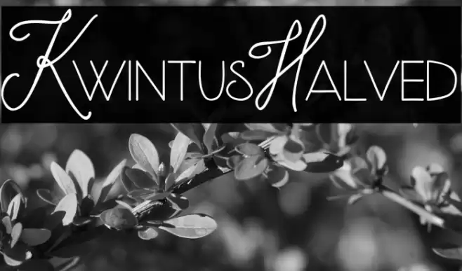 KwintusHalved Font examples