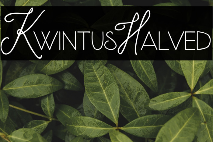 KwintusHalved Example 2