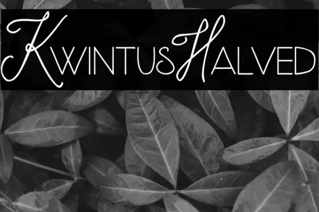 KwintusHalved Font examples