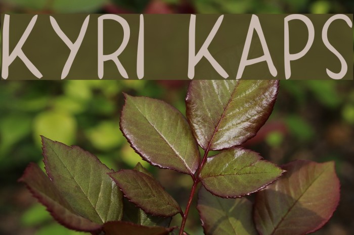 KYRI KAPS Font examples