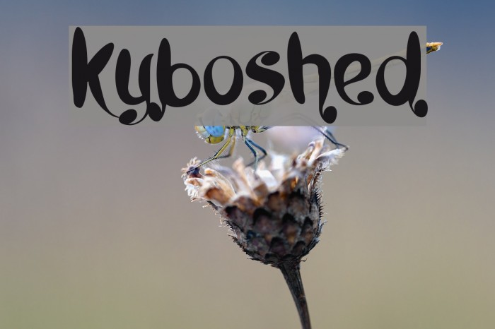 Kyboshed Font examples