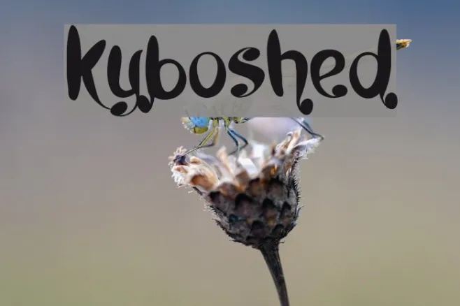 Kyboshed Example 2