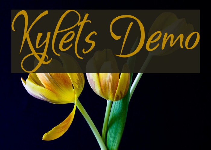 Kylets Demo Шрифта examples
