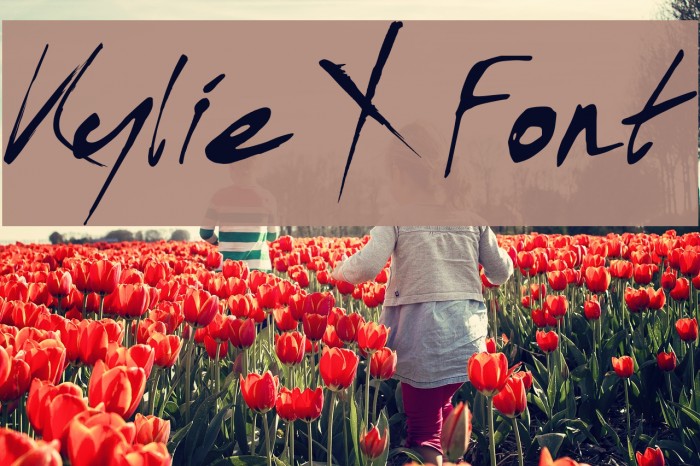 Kylie X Font Font examples