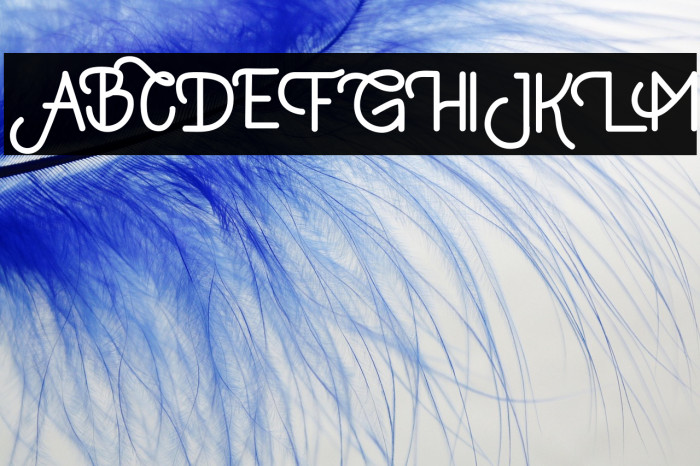 KylieJeslynRegular Example 2