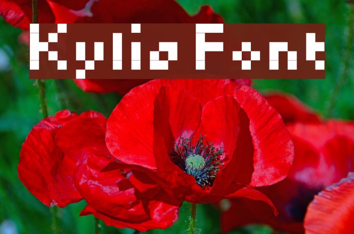 Kylie Font examples