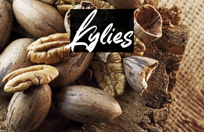 Kylies Example 1