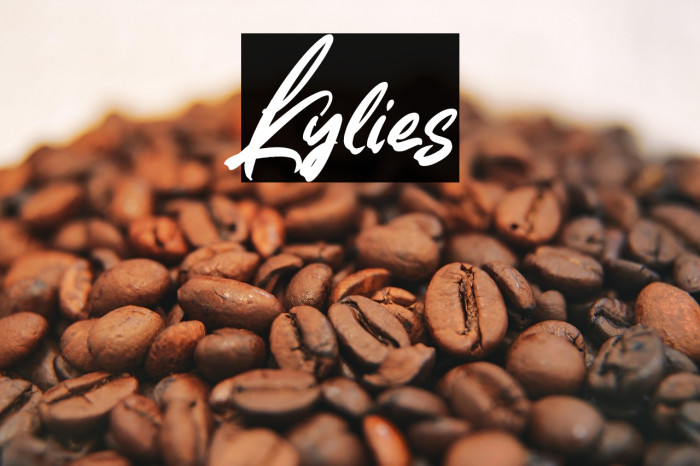 Kylies Example 3