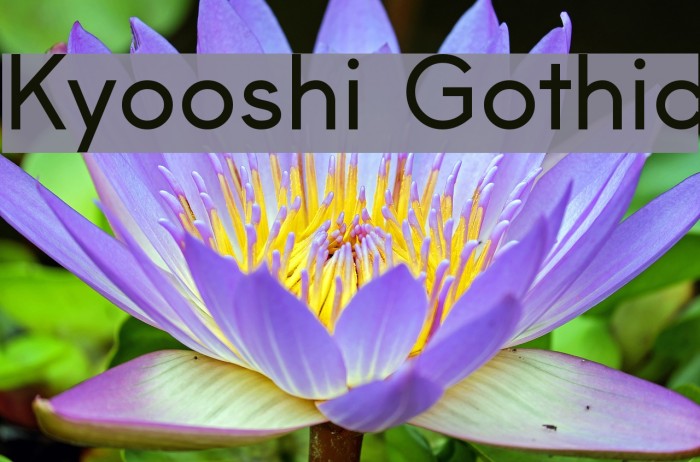 Kyooshi Gothic Font examples